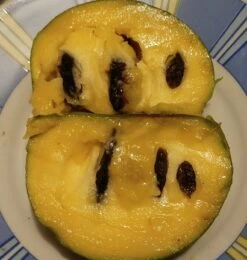 Qualitätspflanzenladen -Qualitätspflanzenladen Indianerbanane von Innen