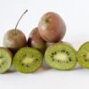 Großfrüchtige Bayern-Kiwi `Pink Jumbo´ Actinidia Arguta `Pink Jumbo´