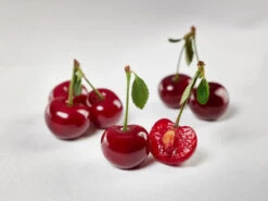 Safir ® Prunus Cerasus `Safir´ -Qualitätspflanzenladen sauerkirsche safir glCz99JjQsQ3RC