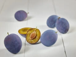 Hanita ® Prunus Domestica `Hanita -Qualitätspflanzenladen zwetschge hanita g